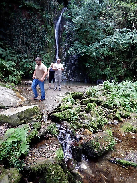 DSCN0919 DSCN0919