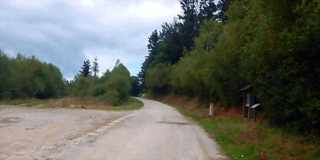 DSCN6668 DSCN6668