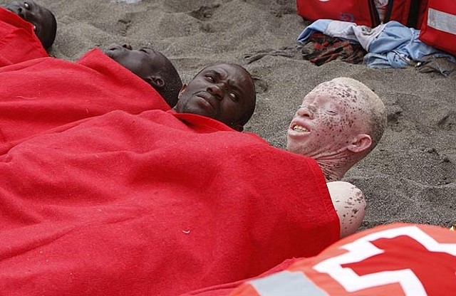 Negro-Albino Negro-Albino