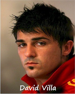 David Villa