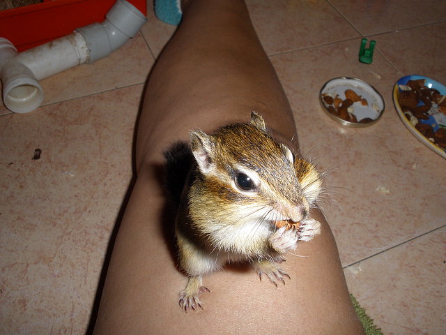 albin comiendo encima mia