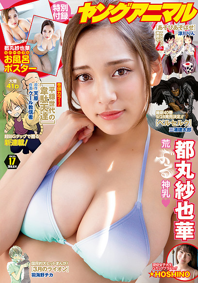 magazine