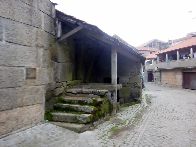 DSCN2108 DSCN2108