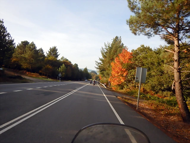 DSCN0524 DSCN0524
