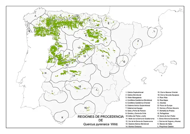 map_Quercus_pyrenaica_tcm7-285943