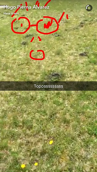 Hugo snapchat 14-4-2016 (3) Hugo snapchat 14-4-2016 (3)