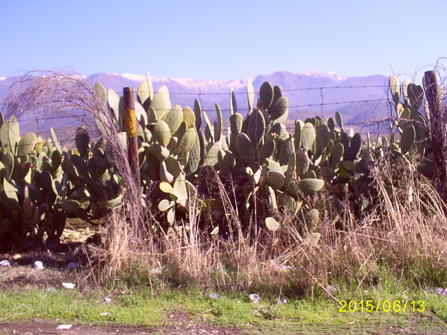 S5036968 S5036968