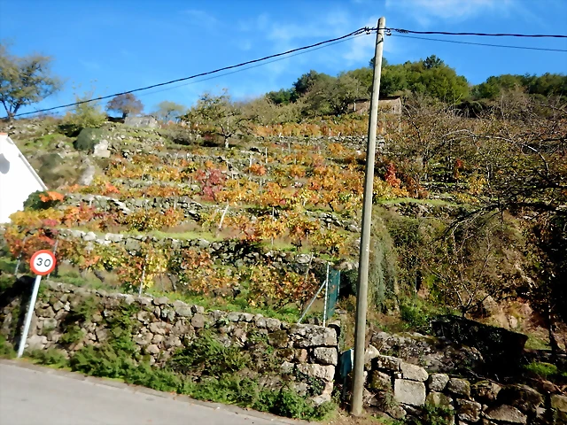 DSCN1574 DSCN1574