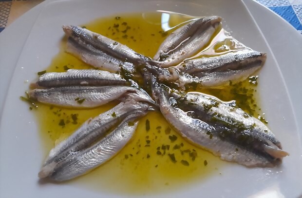 Boquerones en aceite