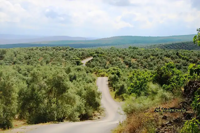 02, llano del cura, marca