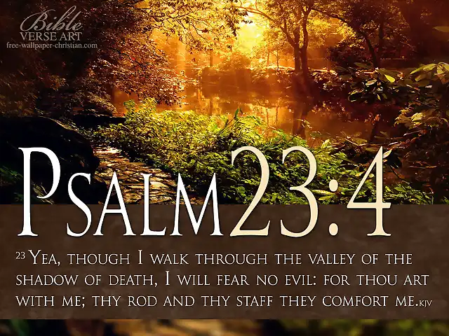 Psalm-23-4-