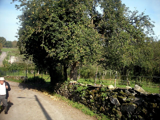 DSCN9738 DSCN9738