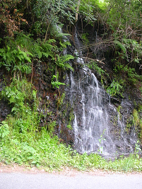 DSCN2230 DSCN2230