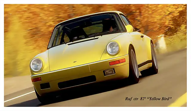 ruf yellow bird 2