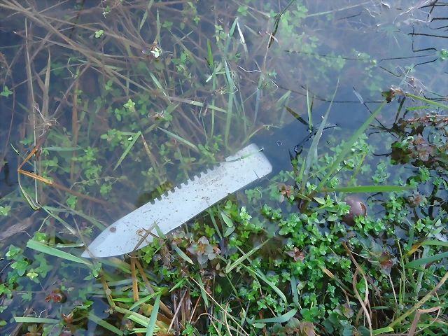 DSC03790 DSC03790