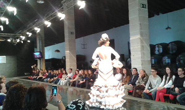 Pasarela 14-2-2015 (2)