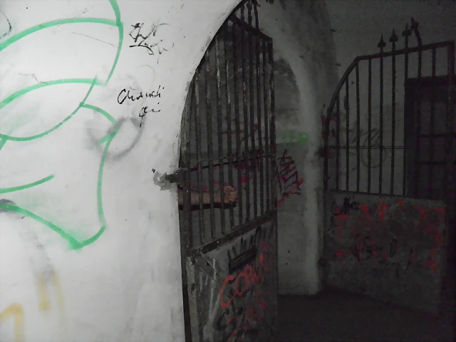 P5310037 P5310037