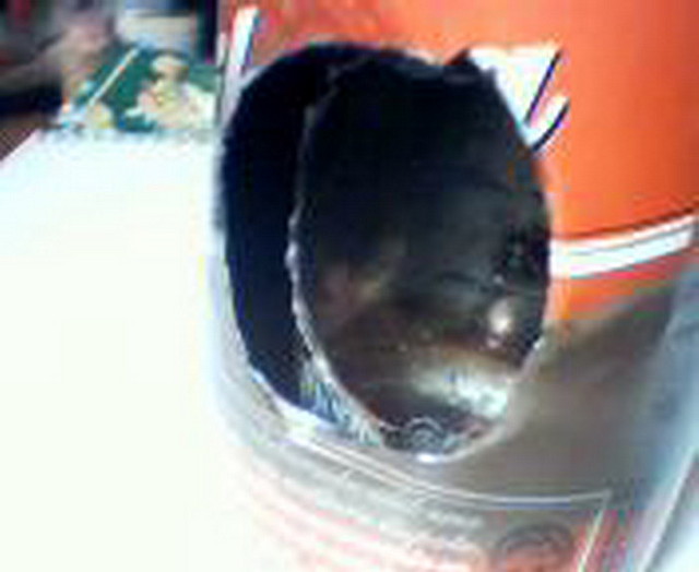 Cocinillas 064 Cocinillas 064