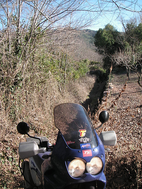 mtb olocau 087 mtb olocau 087
