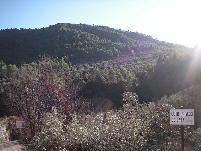 mtb olocau 088 mtb olocau 088