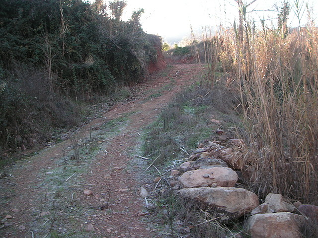 mtb olocau 100 mtb olocau 100