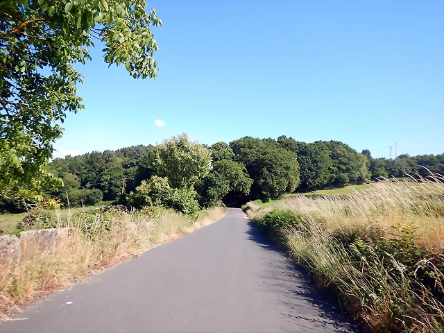 DSCN6725