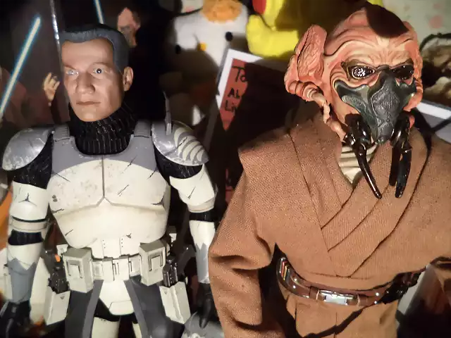 wolffe and plo