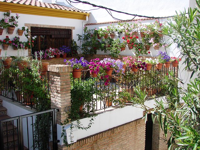 terraza de clara