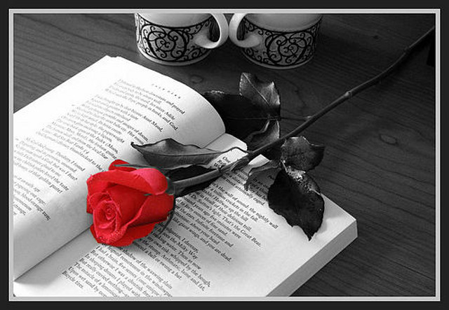 Rosa en novela Rosa en novela