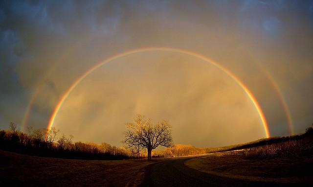 rainbow_20field_small