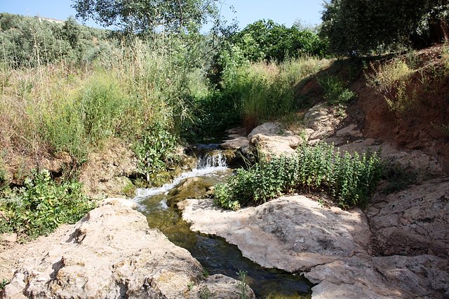 al otro lado del arroyo