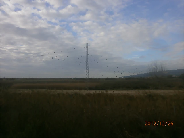 PC260666 PC260666