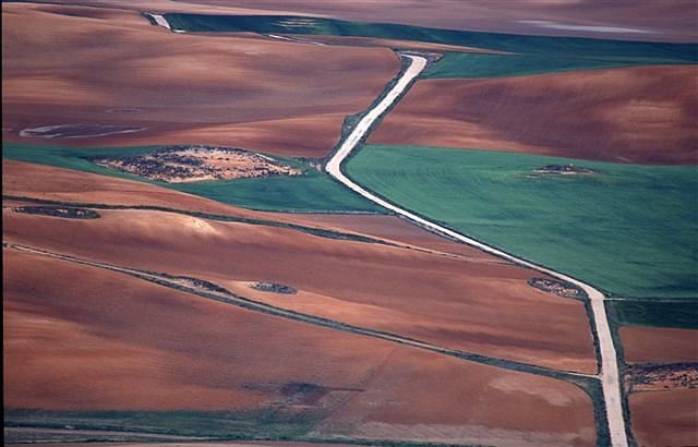 Camino, Foto de Fernando Medrano