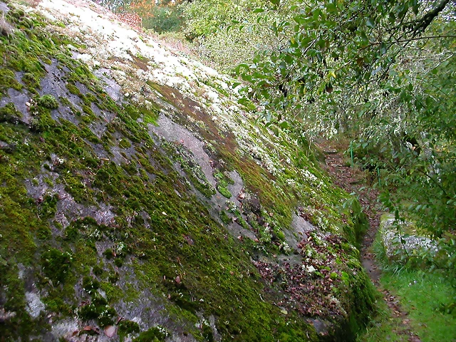 DSCN5740 DSCN5740