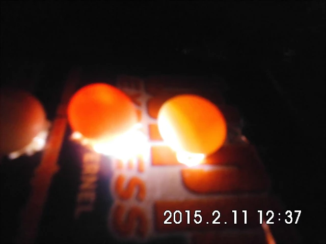 CIMG0789 CIMG0789