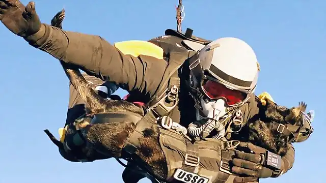 Paracaidista de los Navy Seal saltando con su perro de combate