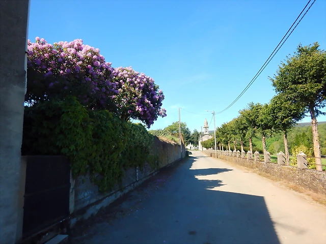 DSCN2376 DSCN2376