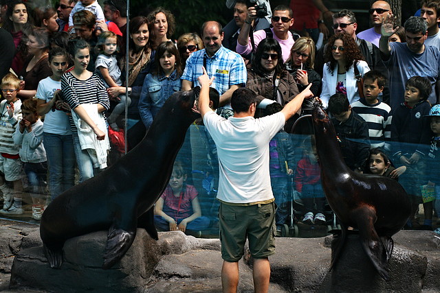 Zoo de Barcelona 23-04-11 064