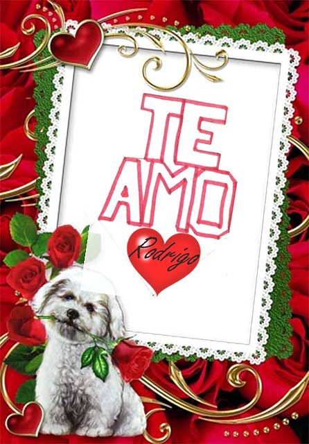 la hice pensando en ti (L) la hice pensando en ti (L)