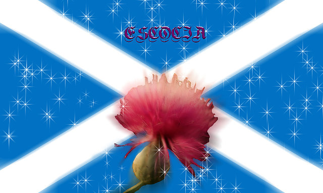 BANDERA ESCOCIA