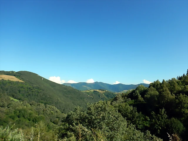 DSCN0154 DSCN0154