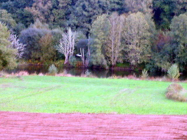 DSCN5382 DSCN5382