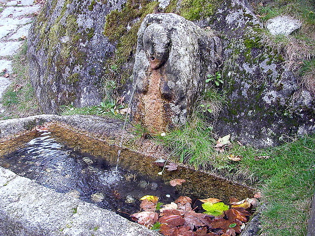 DSCN3308 DSCN3308