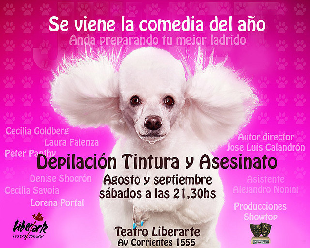 Afiche Pink dog
