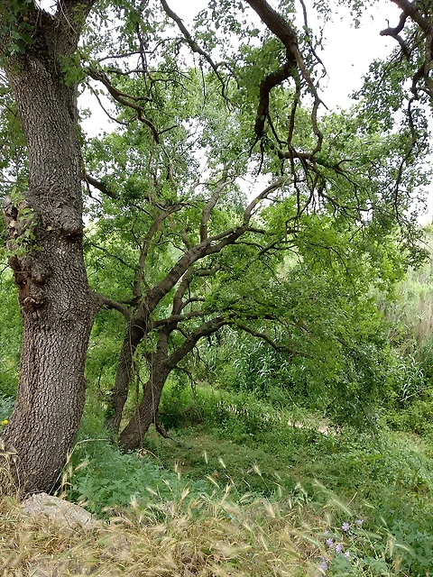 IMG_20180526_110842_HDR IMG_20180526_110842_HDR
