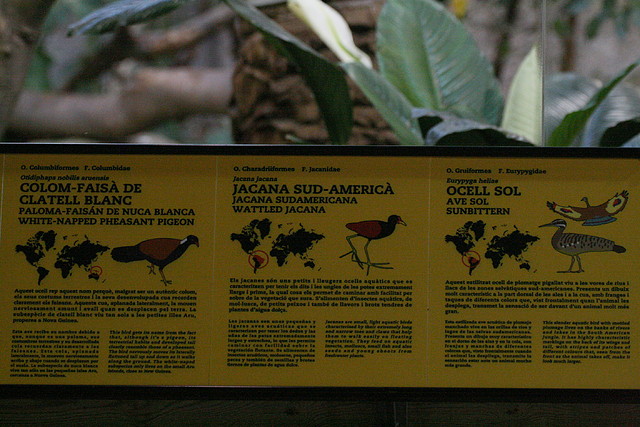 Zoo de Barcelona 08-09-2010 088 Zoo de Barcelona 08-09-2010 088