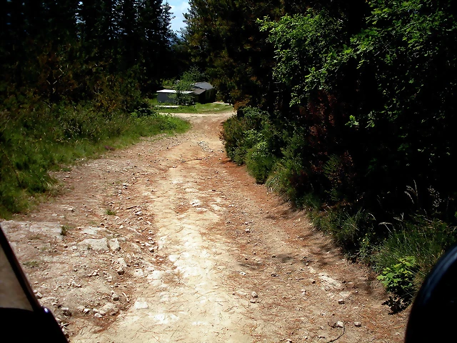 DSCN5390 DSCN5390