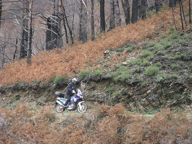 IMG_3566 IMG_3566