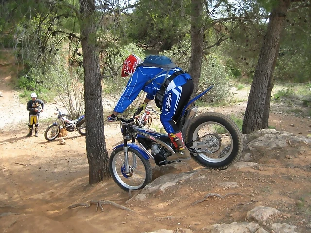Trial017 Trial017