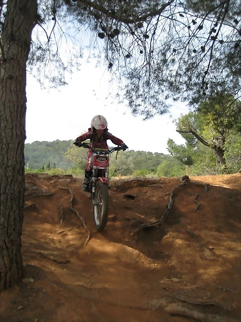 Trial018 Trial018